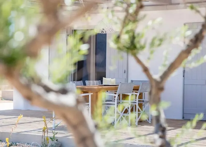 Refreshing Bright Near The